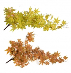 049 Veštaćke lozice